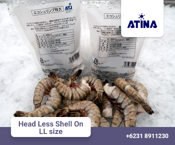 Not Less Shell Products